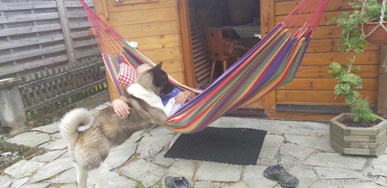 Appartement Koenigslehen Radstadt Exteriör bild